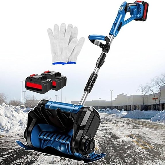 cordless snow blower two batteries