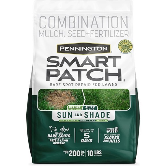 pennington smart patch grass seeds